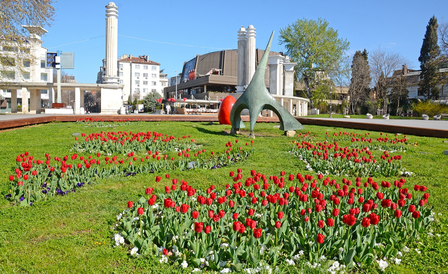 Десетки хиляди лалета и теменужки радват варненци в Морската градина (СНИМКИ)